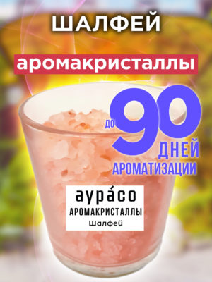 CRS ARO 0039 SAG scaled