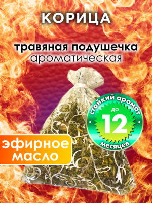 WDD PLL 0022 CNN scaled