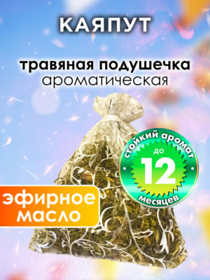 WDD PLL 0023 KYA scaled