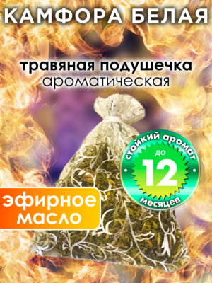 WDD PLL 0069 MOR scaled