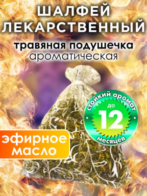 WDD PLL 0097 PTV scaled