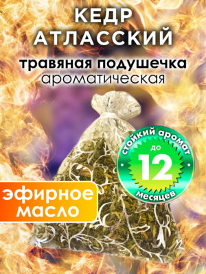 WDD PLL 0202 ATC scaled