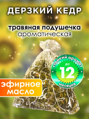 WDD PLL 0221 DCE scaled