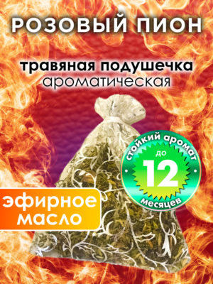 WDD PLL 0282 PIP scaled