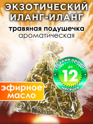 WDD PLL 0325 GGA scaled