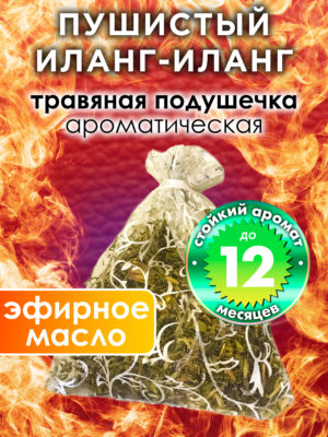 WDD PLL 0351 NLA scaled