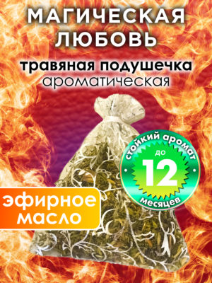 WDD PLL 0381 ELC scaled