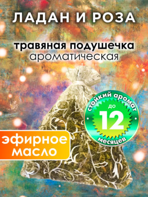 WDD PLL 0527 FNN scaled