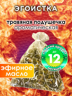 WDD PLL 0539 LSS scaled