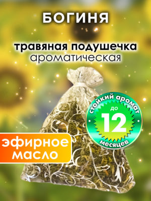 WDD PLL 0546 SDS scaled