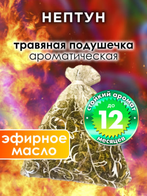 WDD PLL 0604 EUE scaled