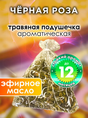 WDD PLL 0626 OCA scaled