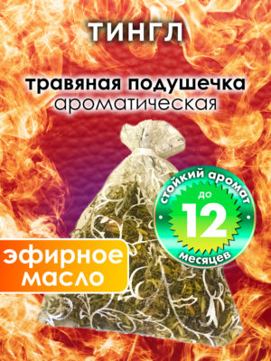 WDD PLL 0667 GTE scaled