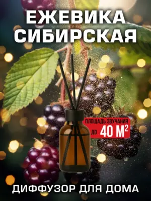 Ежевика сибирская - аромадиффузор Аурасо, 50 мл, 1 шт.