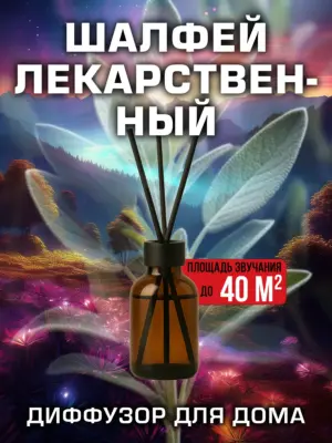 Шалфей лекарственный - аромадиффузор Аурасо, 50 мл, 1 шт.