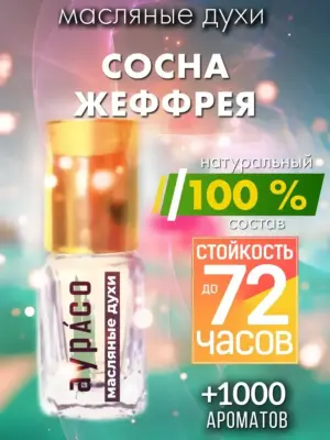 Сосна Жеффрея - масляные духи Аурасо