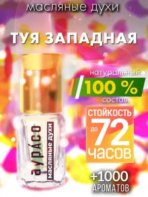 Туя западная - масляные духи Аурасо