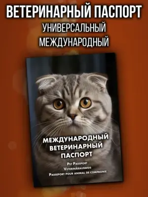 Ветеринарный паспорт для кошек и собак международный