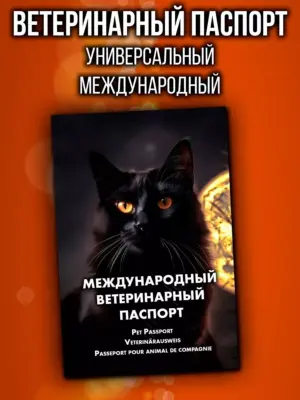 Ветеринарный паспорт для кошек международный
