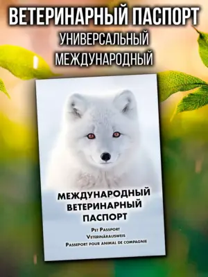 Ветеринарный паспорт для кошек и собак международный