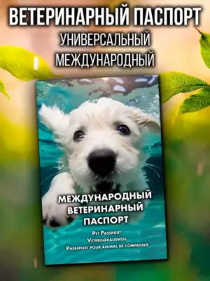 Ветеринарный паспорт для собак международный