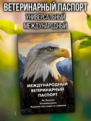 Ветеринарный паспорт для кошек и собак международный
