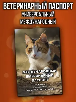 Ветеринарный паспорт для кошек и собак международный