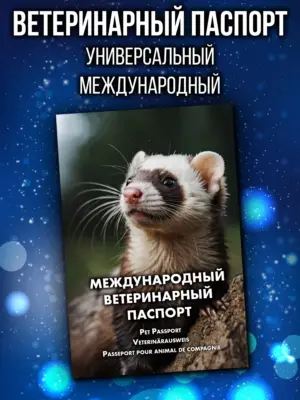 Ветеринарный паспорт для хорька международный