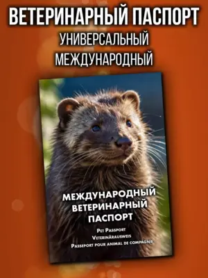 Ветеринарный паспорт для норок международный