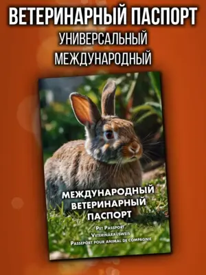 Ветеринарный паспорт для кроликов международный