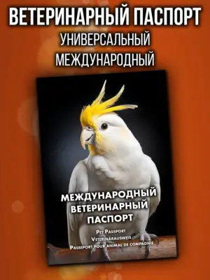 Ветеринарный паспорт для попугаев, международный