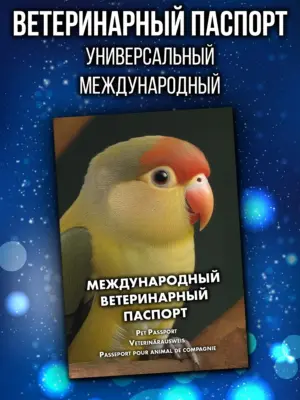 Ветеринарный паспорт для попугаев неразлучников