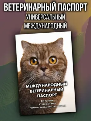 Ветеринарный паспорт для кошек и собак международный