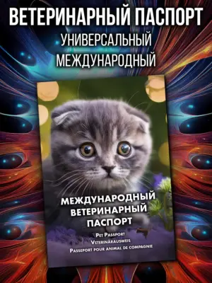 Ветеринарный паспорт для кошек и собак международный