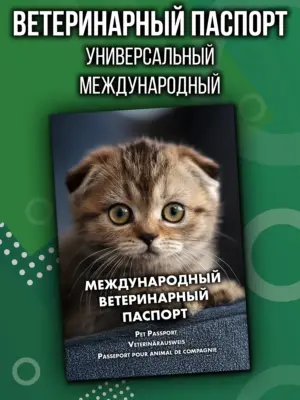 Ветеринарный паспорт для кошек и собак международный