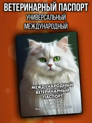 Ветеринарный паспорт для кошек персов международный