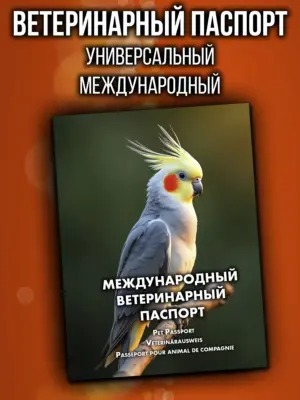 Ветеринарный паспорт для попугаев международный