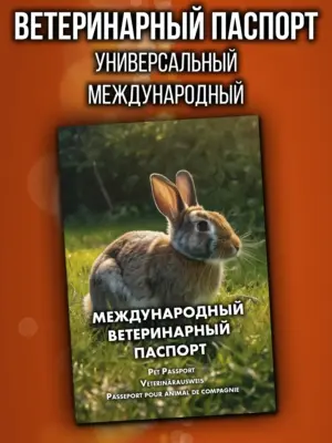 Ветеринарный паспорт для животных международный