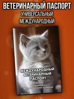 Ветеринарный паспорт для котят международный