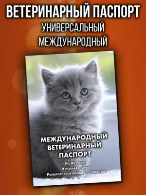 Ветеринарный паспорт для котенка международный