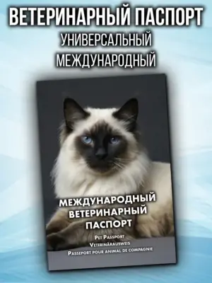 Ветеринарный паспорт для кошек международный
