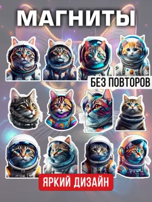 Магниты сувенирные на холодильник 12 штук