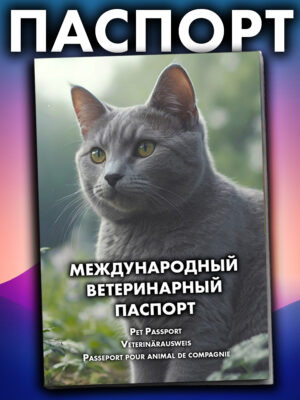 Ветеринарный паспорт для кошек и собак международный