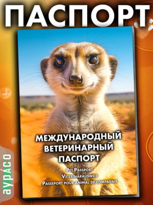 Ветеринарный паспорт для кошек и собак международный