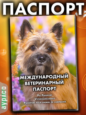 Ветеринарный паспорт для кошек и собак международный